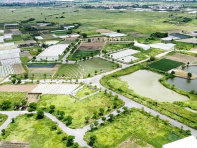 Quỹ chuyển nhượng Cienco 5 Mê Linh giá tốt nhất thị trường