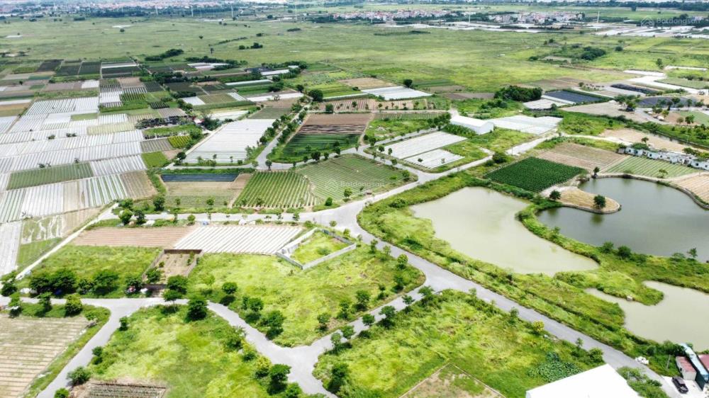 Quỹ chuyển nhượng Cienco 5 Mê Linh giá tốt nhất thị trường Quỹ chuyển nhượng Cienco 5 Mê Linh giá tốt nhất thị trường